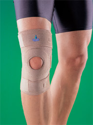 ΕΠΙΓΟΝΑΤΙΔΑ