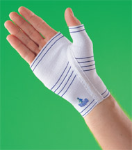 ΟΡΘΟΣΤΑΤΗΣ ΠΑΛΑΜΗΣ